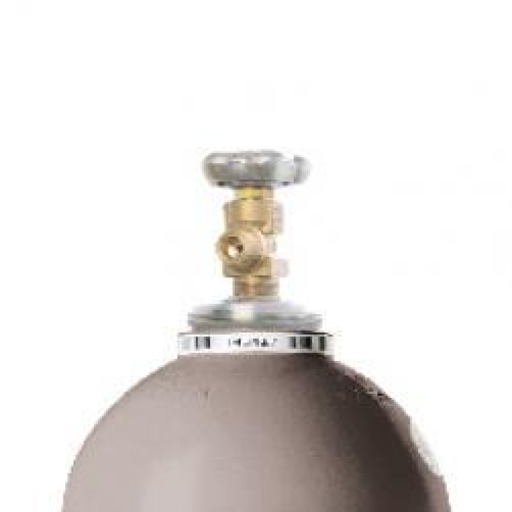 ALIGAL 2 FLASKE 10KG ( 13L ) OMBYTNINGSFLASKE