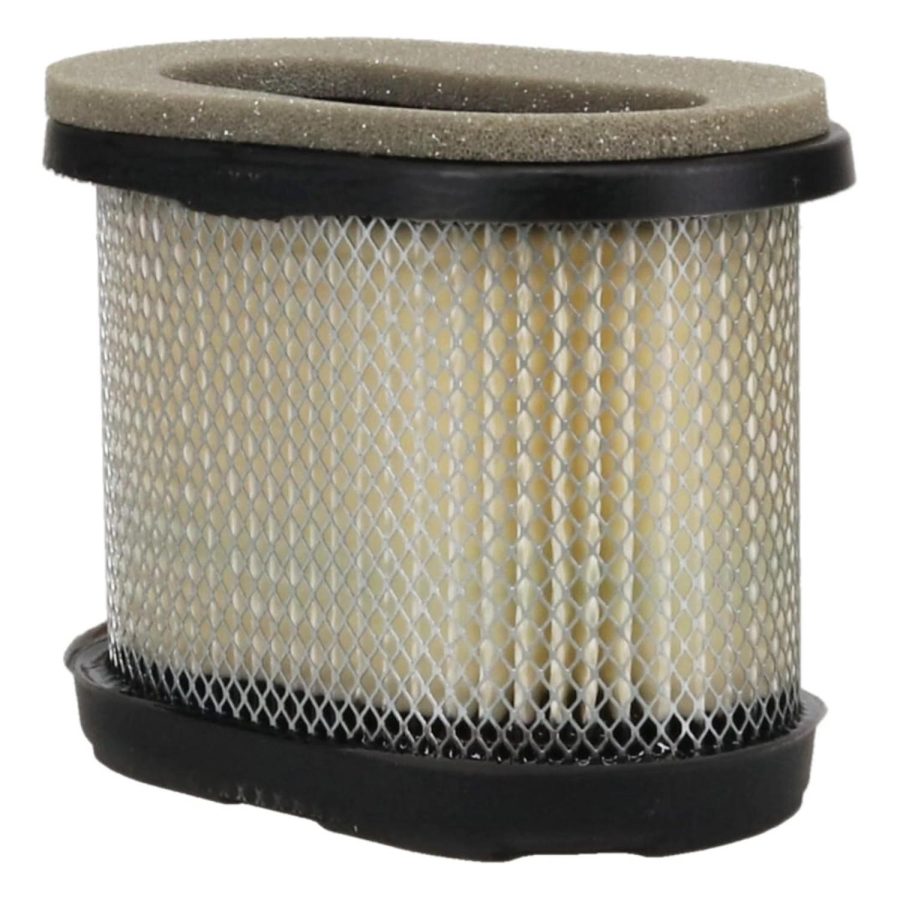 Luftfilter Briggs & Stratton 697029